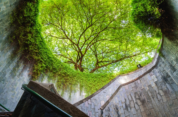 Fort Canning Park