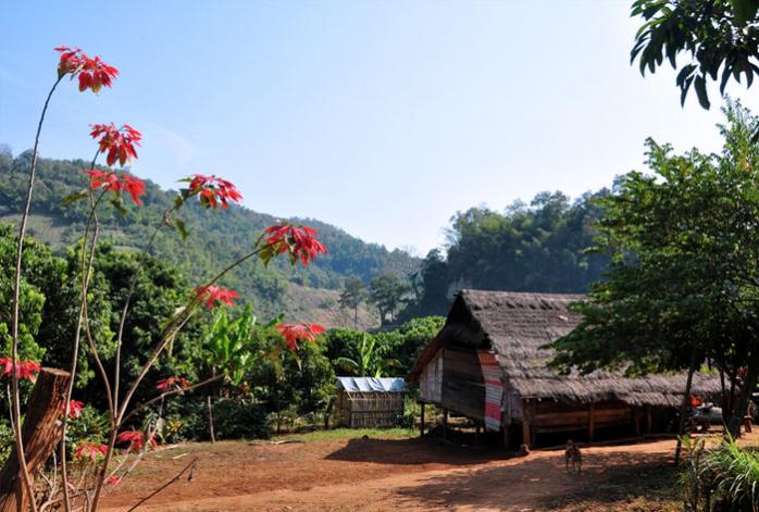 Jungle Trek Village