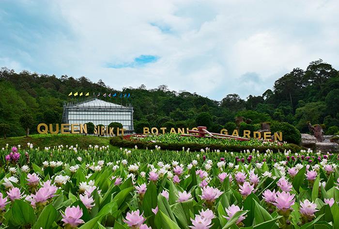 Queen Sirikit Botanical Gardens 