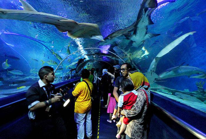 Aquaria KLCC