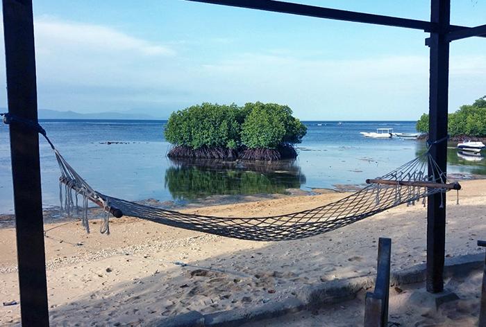 Mangroves by the Beach