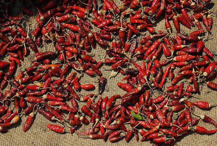 Red Chilli