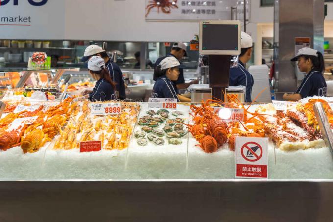 Sydney Fish Market