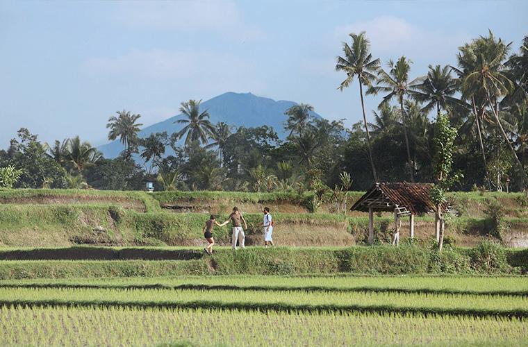 Guided Trekking / Cycling