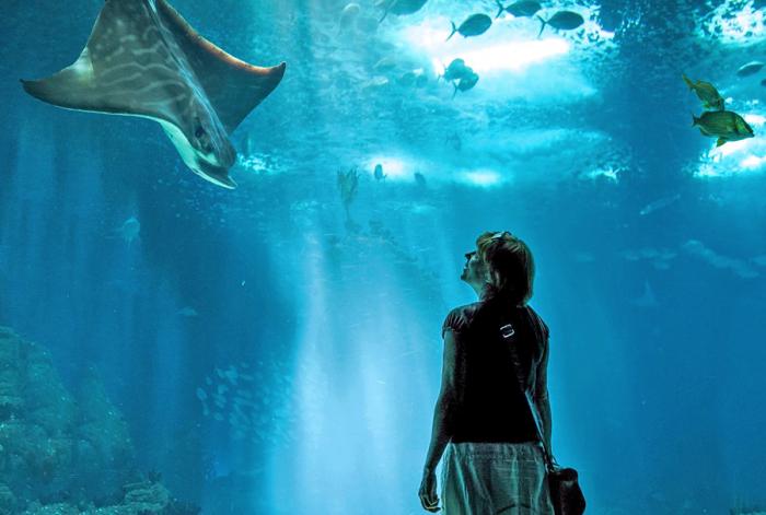 activitiesinbangkokforthewholefamilyCover-900x606