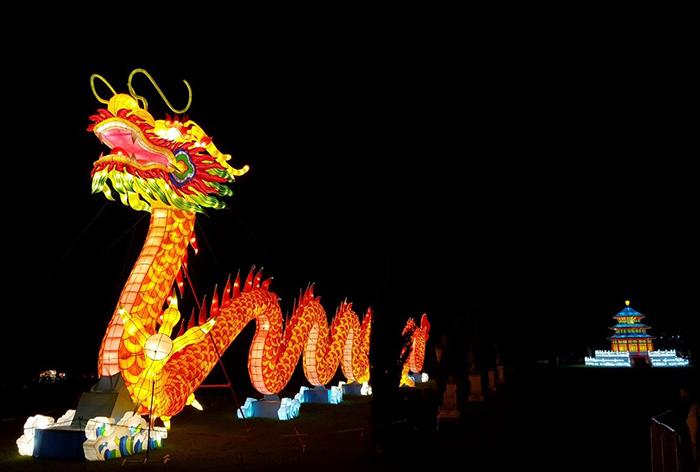 Dragon Lantern