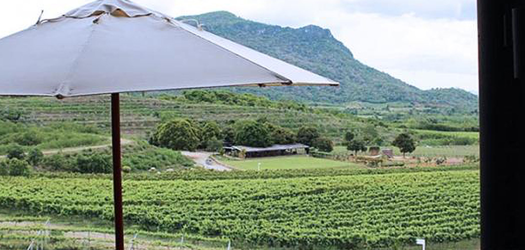 Fun, Sun and Savouring: 10 best things to make your Hua Hin trip unforgettable