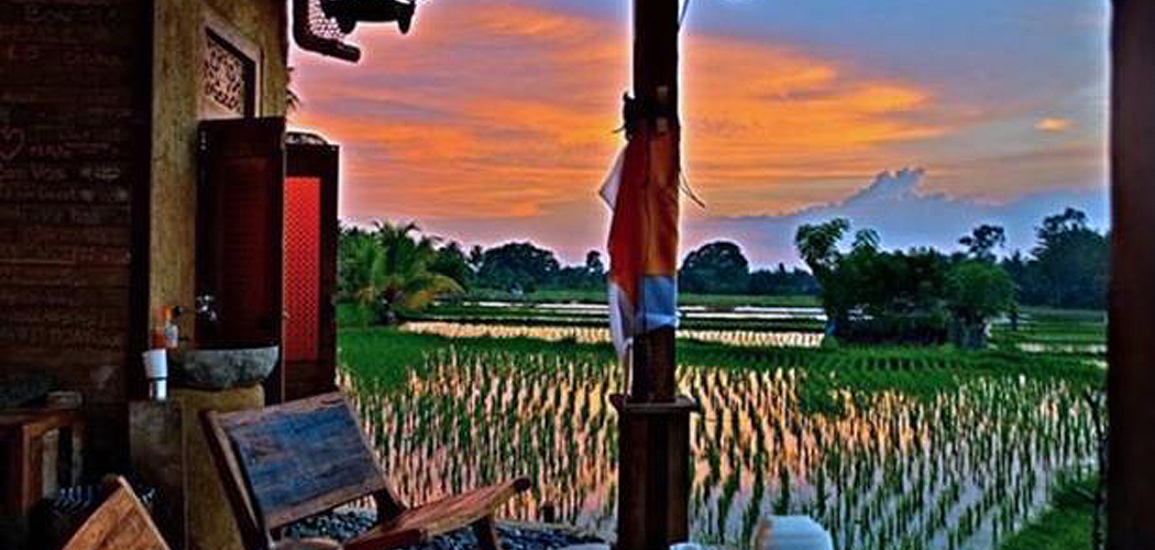 Top Warungs to Stuff Your Face in Ubud, Bali