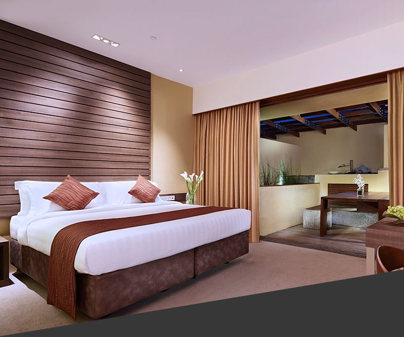 Full-fledge Singapore Business Hotel